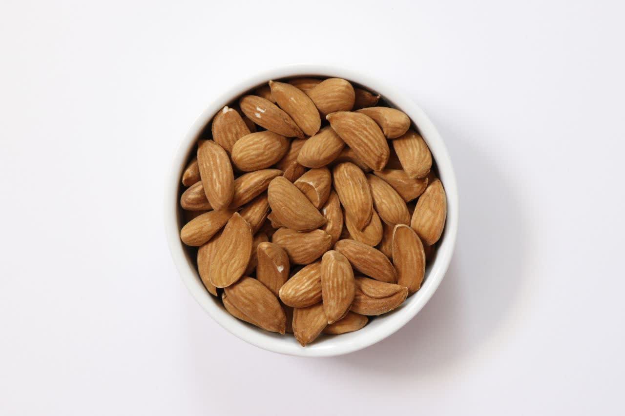 تصویر 1 از خرید بادام سنگی + قیمت مناسب